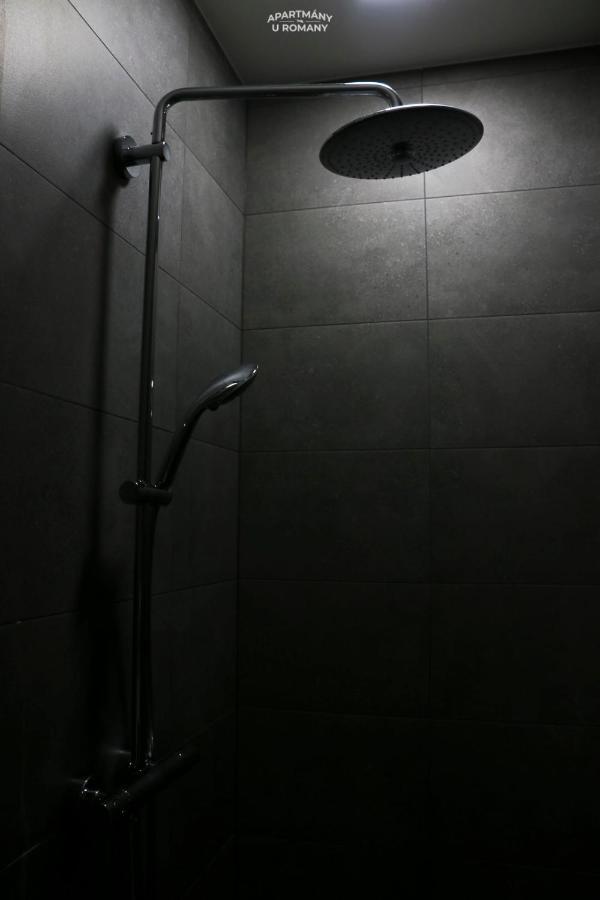 Apartmany U Romany Mírkovice Екстериор снимка